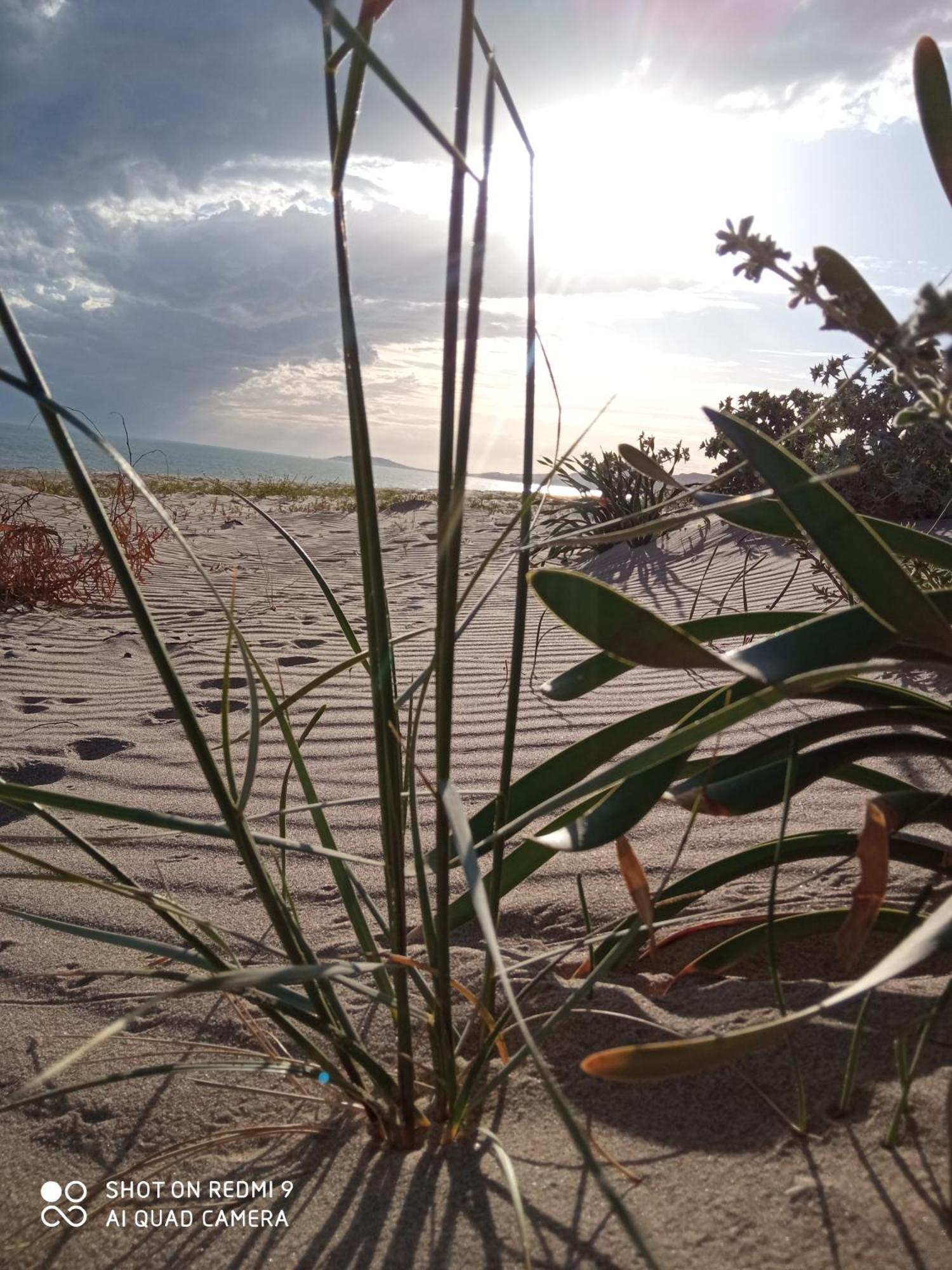 גלה Natura E Relax Sul Mare מראה חיצוני תמונה